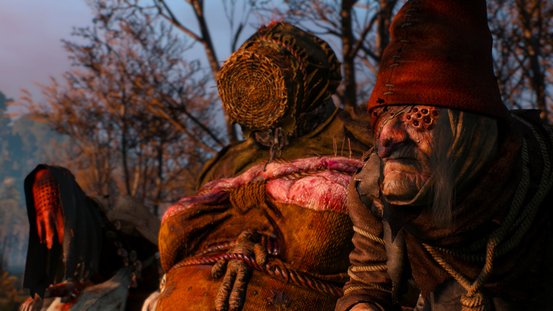 Illustration for article titled The Witcher 3, As Told Through Beautiful Screenshots